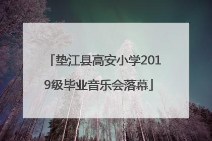 垫江县高安小学2019级毕业音乐会落幕