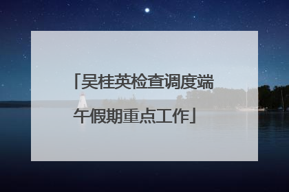 吴桂英检查调度端午假期重点工作