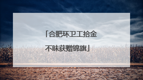 合肥环卫工拾金不昧获赠锦旗