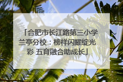合肥市长江路第三小学兰亭分校：榜样闪耀绽光彩 五育融合助成长