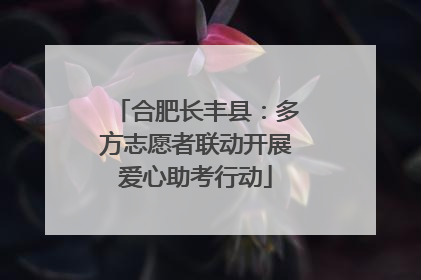合肥长丰县：多方志愿者联动开展爱心助考行动