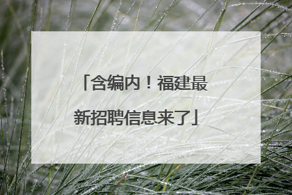 含编内！福建最新招聘信息来了