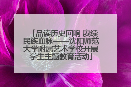 品读历史回响 赓续民族血脉——沈阳师范大学附属艺术学校开展学生主题教育活动