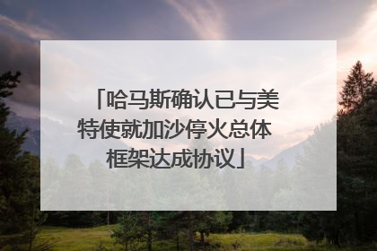 哈马斯确认已与美特使就加沙停火总体框架达成协议