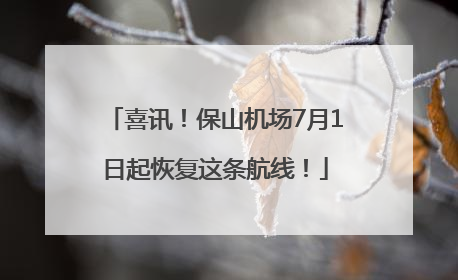 喜讯！保山机场7月1日起恢复这条航线！