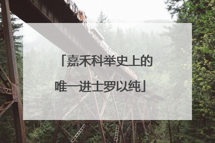嘉禾科举史上的唯一进士罗以纯