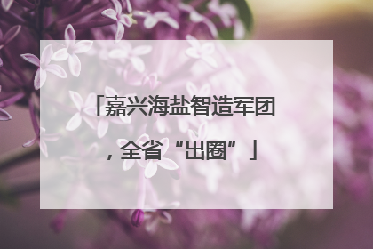 嘉兴海盐智造军团，全省“出圈”