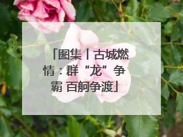 图集丨古城燃情：群“龙”争霸 百舸争渡