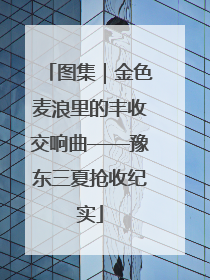 图集｜金色麦浪里的丰收交响曲——豫东三夏抢收纪实