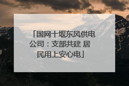 国网十堰东风供电公司：支部共建 居民用上安心电