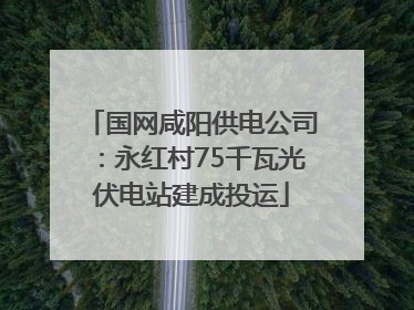 国网咸阳供电公司：永红村75千瓦光伏电站建成投运