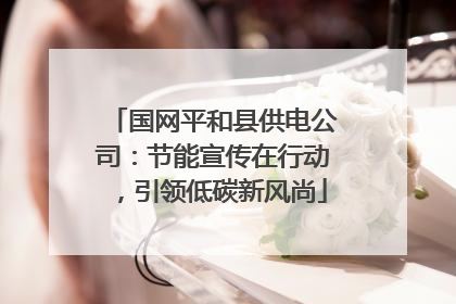国网平和县供电公司：节能宣传在行动，引领低碳新风尚
