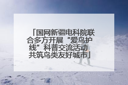 国网新疆电科院联合多方开展“爱鸟护线”科普交流活动 共筑鸟类友好城市