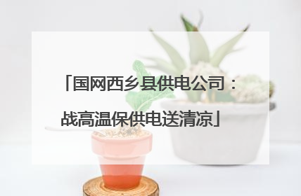 国网西乡县供电公司：战高温保供电送清凉