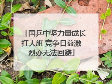 国乒中坚力量成长扛大旗 竞争日益激烈亦无法回避