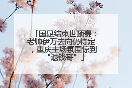 国足结束世预赛：老帅伊万去向仍待定，重庆主场氛围惊到“退钱哥”