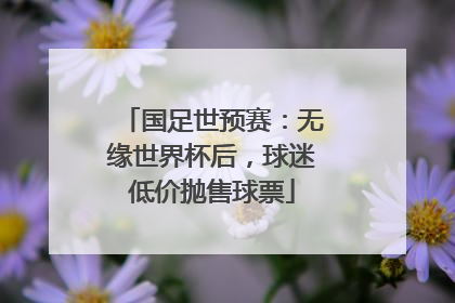 国足世预赛：无缘世界杯后，球迷低价抛售球票