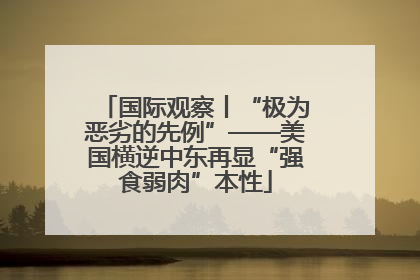 国际观察丨“极为恶劣的先例”——美国横逆中东再显“强食弱肉”本性