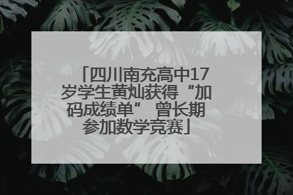 四川南充高中17岁学生黄灿获得“加码成绩单” 曾长期参加数学竞赛