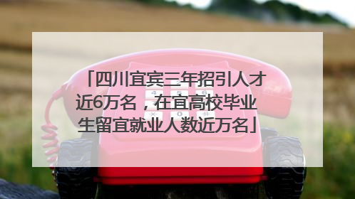 四川宜宾三年招引人才近6万名，在宜高校毕业生留宜就业人数近万名