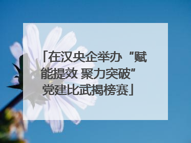 在汉央企举办“赋能提效 聚力突破”党建比武揭榜赛
