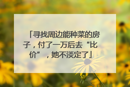 寻找周边能种菜的房子，付了一万后去“比价”，她不淡定了