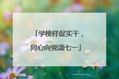 学榜样促实干，同心向党颂七一