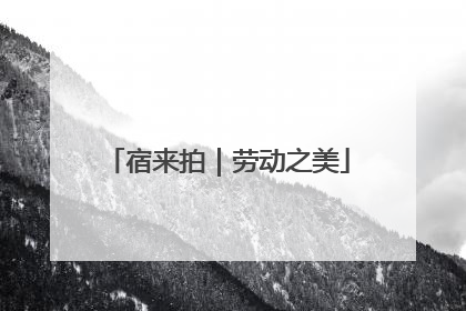宿来拍｜劳动之美