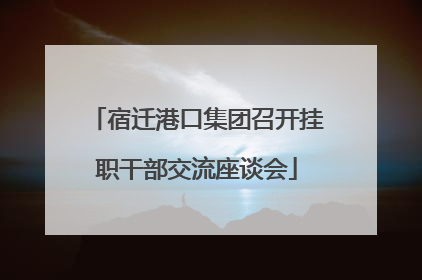 宿迁港口集团召开挂职干部交流座谈会