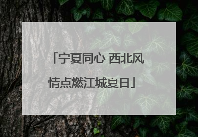 宁夏同心 西北风情点燃江城夏日