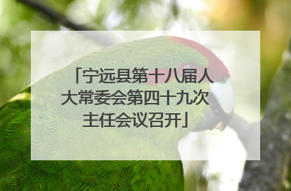 宁远县第十八届人大常委会第四十九次主任会议召开