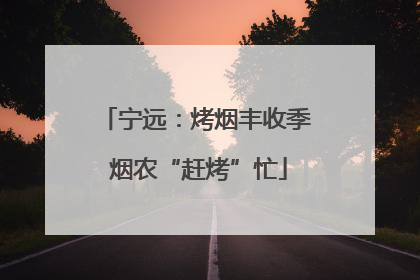 宁远：烤烟丰收季 烟农“赶烤”忙