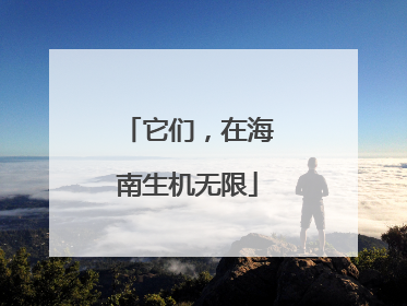 它们，在海南生机无限