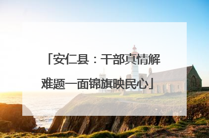 安仁县：干部真情解难题一面锦旗映民心