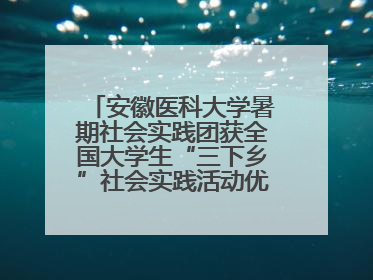 安徽医科大学暑期社会实践团获全国大学生“三下乡”社会实践活动优秀团队