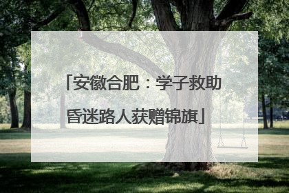安徽合肥：学子救助昏迷路人获赠锦旗