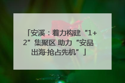 安溪：着力构建“1+2”集聚区 助力“安品出海·抢占先机”