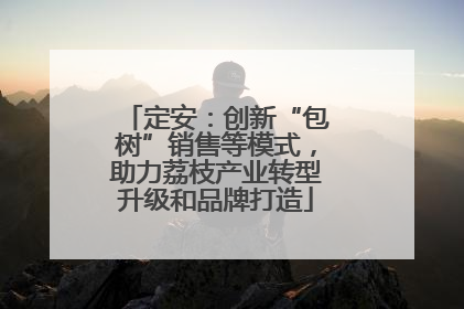 定安：创新“包树”销售等模式，助力荔枝产业转型升级和品牌打造