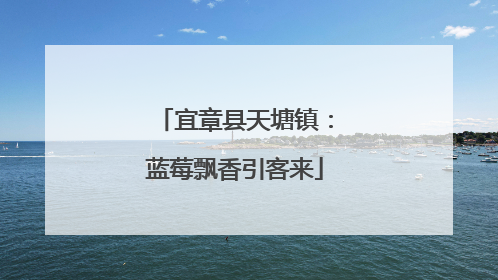 宜章县天塘镇：蓝莓飘香引客来