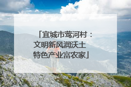 宜城市莺河村：文明新风润沃土 特色产业富农家