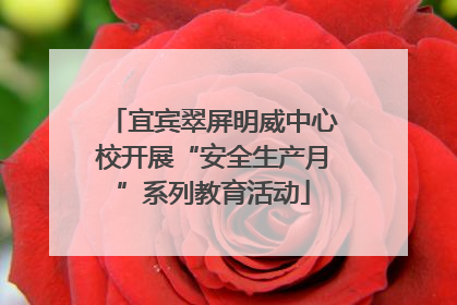 宜宾翠屏明威中心校开展“安全生产月”系列教育活动