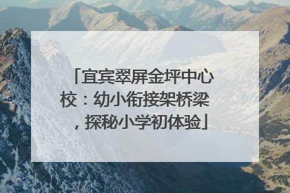 宜宾翠屏金坪中心校：幼小衔接架桥梁，探秘小学初体验