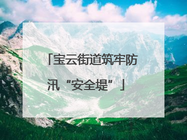 宝云街道筑牢防汛“安全堤”