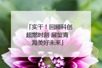实干！回顾科创超燃时刻 展望青海美好未来
