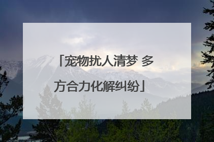 宠物扰人清梦 多方合力化解纠纷