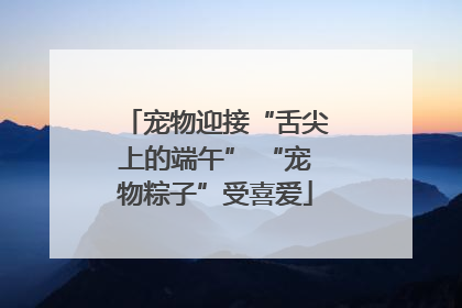 宠物迎接“舌尖上的端午” “宠物粽子”受喜爱