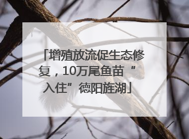 增殖放流促生态修复，10万尾鱼苗“入住”德阳旌湖