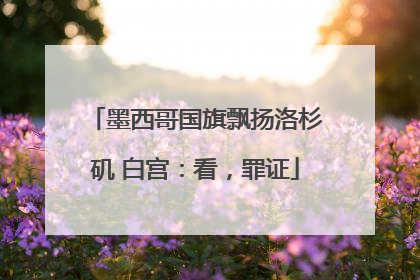 墨西哥国旗飘扬洛杉矶 白宫：看，罪证