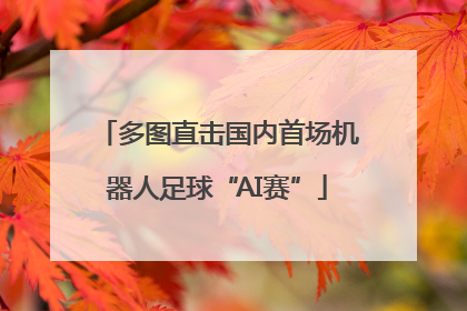 多图直击国内首场机器人足球“AI赛”