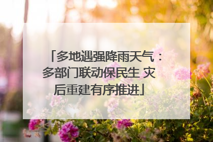 多地遇强降雨天气：多部门联动保民生 灾后重建有序推进